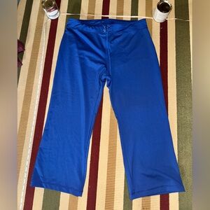 Danskin Royal Blue Leggings